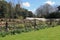 Walled Garden at Hinton Ampner on a spring day