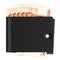 Wallet with fifty euro banknotes