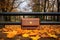 wallet lying near a park bench with fallen autumn leaves around