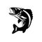 Walleye Fish Jumping Up Isolated Retro Black and White