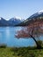 Wallowa Lake with snow covered Sentinel Peak