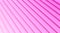 Wallpaper background 3d pantone layers of pink color
