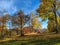 Wallpaper image of serene calming day in the nature during autumn fall, a shadowy grass meadow surrounded by colorful trees in the