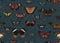 Wallpaper pattern Vintage butterflies colors dark blue background