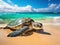 Wallpaper of Resting Hawaiian Green Sea Turtle