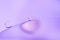 Wallpaper A simple line of drops on water on a purple background