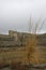 The walls of the ancient fortress, Bukhara, Uzbekistan