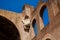 Walls of the Basilica of Maxentius and Constantine in the Roman Forum in Rome