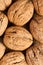 Walnut background