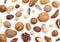 Walnut, cashew, almond and hazelnut isolated on white background.