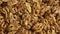 Walnut close up. product rich in minerals and vitamins. Walnut turns in a shot. Hazelnut kernels rotating. Walnut close