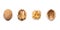 Walnut, closed, opened, half, kernel and shell placed in a row on a white background. The view from the top. Banner