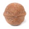 Walnut closeup