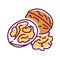 Walnut color line icon. Produces a desirable fruit with medicinal properties. Pictogram for web page, mobile app, promo. Editable