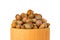Walnut hazelnut isolate on a white background. Nuts hazel of a T