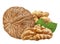 Walnut isolated closeup on white background with clipping path. Nut macro. Walnuts with leaf as package design element collection