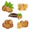 Walnut kernel in nutshell with leaves set