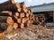 Walnut logs,sawmill