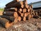 Walnut logs,sawmill