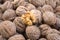 Walnut, a lot of ripe nut fruits juglans regia, tasty and healthy organic food, natural background