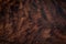 Walnut natural texture, texture elements, texture background.wood texture background.