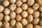 Walnut. proper nutrition, nut in the shell. background for design. background, screen saver. photo of food.