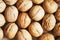 Walnut. proper nutrition, nut in the shell. background for design. background, screen saver. photo of food.