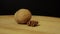 Walnut in shell and without shell rotates 360 degrees on the platform