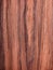 Walnut, wood grain, rural tree background