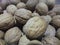 Walnuts