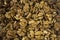 Walnuts background. Kernels walnuts. Vegetarian or healthy eating.