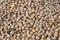 Walnuts background, texture of nuts. Juglans regia