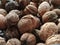 Walnuts close-up. Harvest of nuts. Walnut fruits, rounded large single single-seeded drupes. A healthy diet that includes