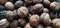 Walnuts close-up. Harvest of nuts. Walnut fruits, rounded large single single-seeded drupes. A healthy diet that includes