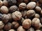 Walnuts close-up. Harvest of nuts. Walnut fruits, rounded large single single-seeded drupes. A healthy diet that includes