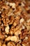 Walnuts dry fruit nuts macro background modern high quality prints family juglandaceae