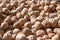 Walnuts drying in the sun