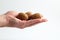 Walnuts food nut in hand on white background isolation