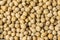 Walnuts fruit in shell background closeup. Lots of nuts. Stock image