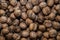 Walnuts harvest boxed close-up