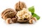 Walnuts and hazelnuts isolated on the white background