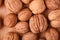 Walnuts heap food in wooden bowl