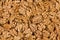 Walnuts Kernel Background