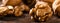 Walnuts. Kernels and whole nuts on wooden rustic table closeup, banner