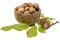 Walnuts lie in an antique wooden bowl, decorated with walnut branch and leave