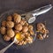 Walnuts lie in a glass dish along with a Nutcracker. Spoon with