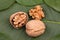 Walnuts lying on the leaf