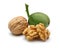 Walnuts and peeled walnut on white background