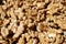 Walnuts. Peeled walnuts background texture. Walnut wallpaper. Kernel