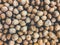 Walnuts , pile of nuts, walnuts background